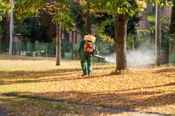 Hutchison, VA Pest Control Company