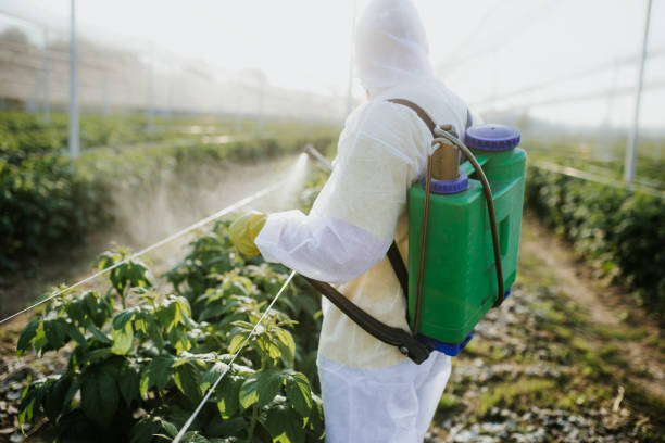 Best Flea Control Services  in Hutchison, VA
